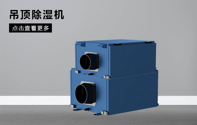 脾虛，濕氣重如何調理？