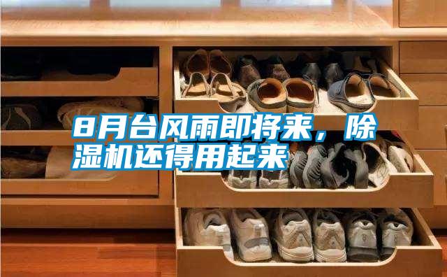 8月臺風雨即將來，除濕機還得用起來