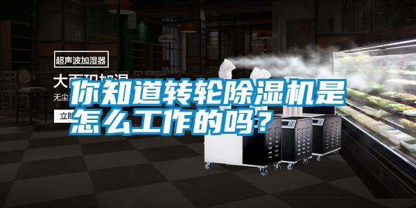你知道轉輪除濕機是怎么工作的嗎？