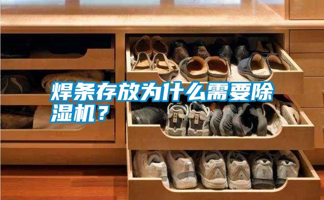 焊條存放為什么需要除濕機(jī)？