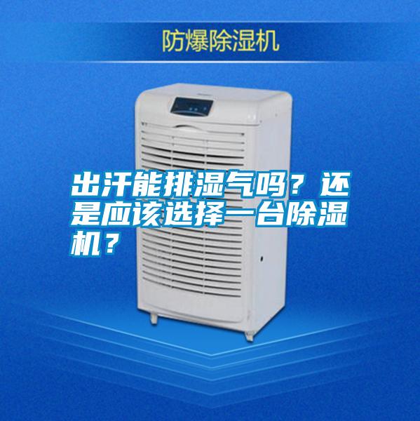 出汗能排濕氣嗎？還是應(yīng)該選擇一臺除濕機(jī)？