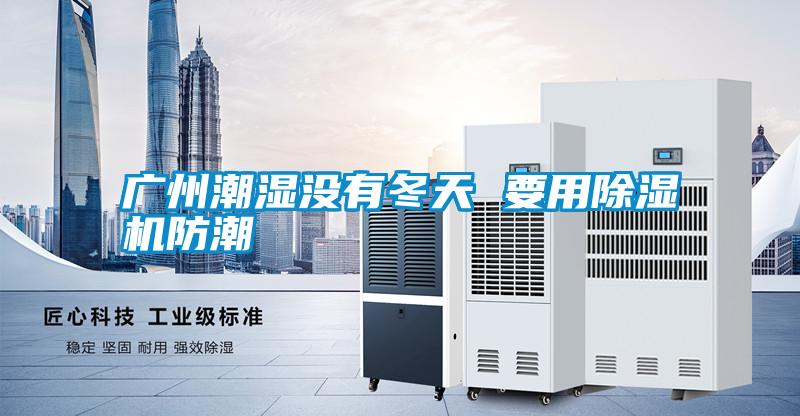 廣州潮濕沒(méi)有冬天 要用除濕機(jī)防潮