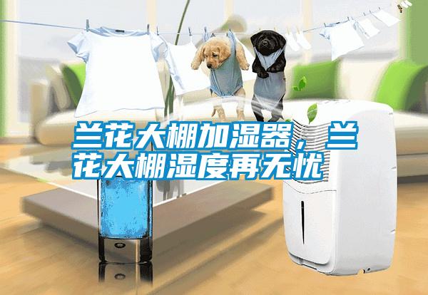 蘭花大棚加濕器，蘭花大棚濕度再無憂