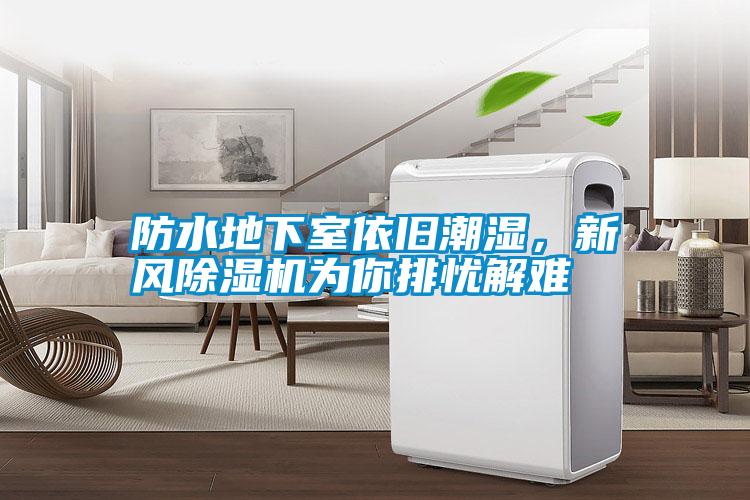 防水地下室依舊潮濕，新風除濕機為你排憂解難