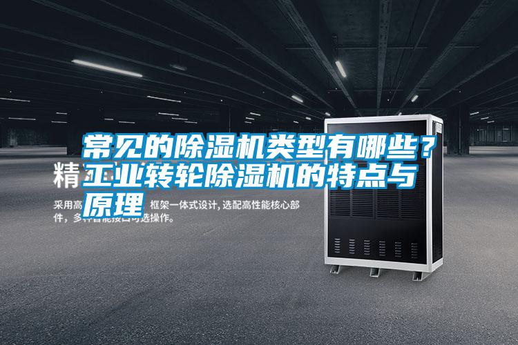 常見的除濕機類型有哪些？工業(yè)轉(zhuǎn)輪除濕機的特點與原理