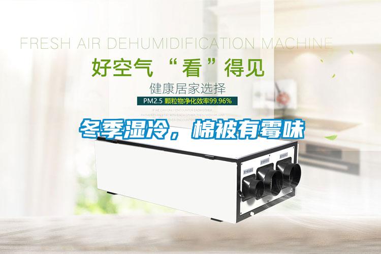 冬季濕冷，棉被有霉味