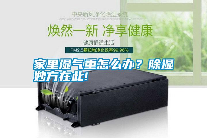 家里濕氣重怎么辦？除濕妙方在此!