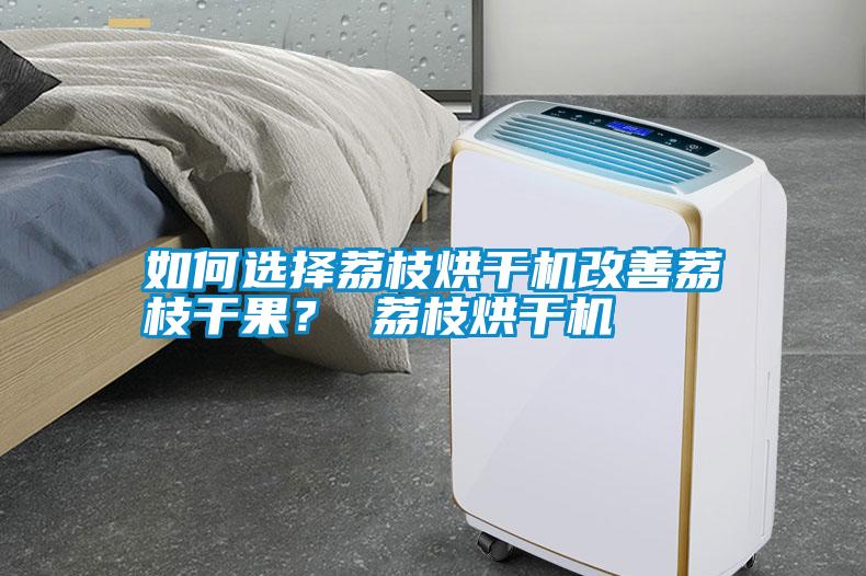 如何選擇荔枝烘干機(jī)改善荔枝干果？ 荔枝烘干機(jī)