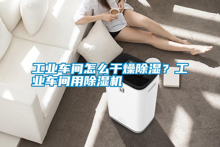 工業(yè)車間怎么干燥除濕？工業(yè)車間用除濕機(jī)