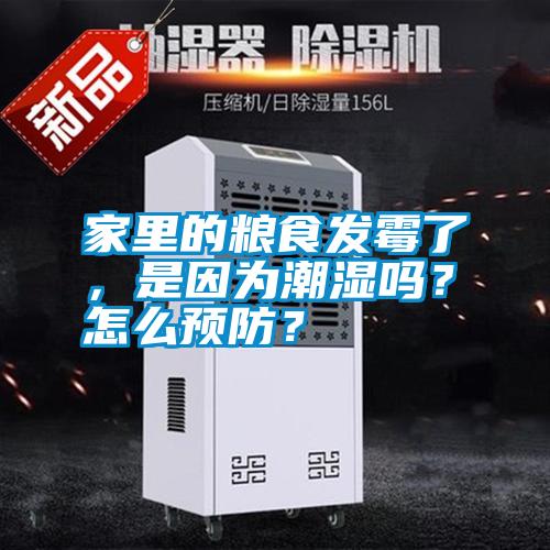 家里的糧食發霉了，是因為潮濕嗎？怎么預防？