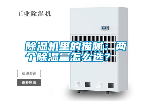 除濕機里的貓膩：兩個除濕量怎么選？