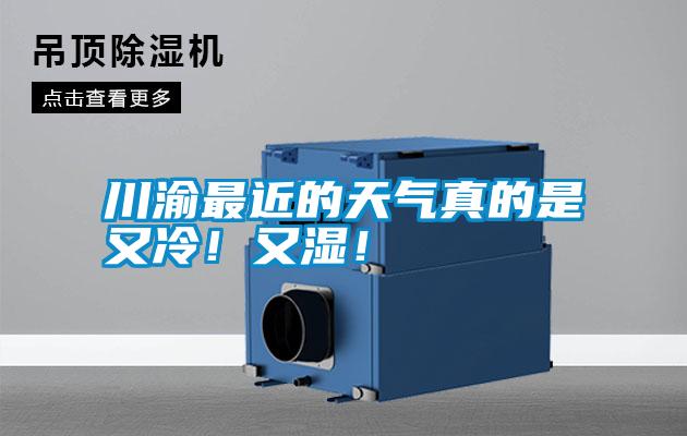 川渝最近的天氣真的是又冷！又濕！