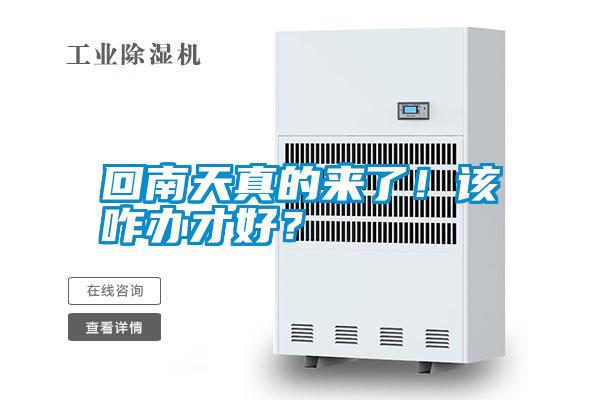 回南天真的來了！該咋辦才好？