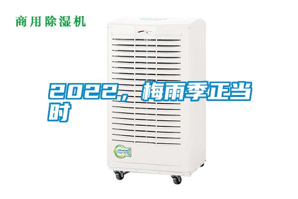 2022，梅雨季正當(dāng)時(shí)