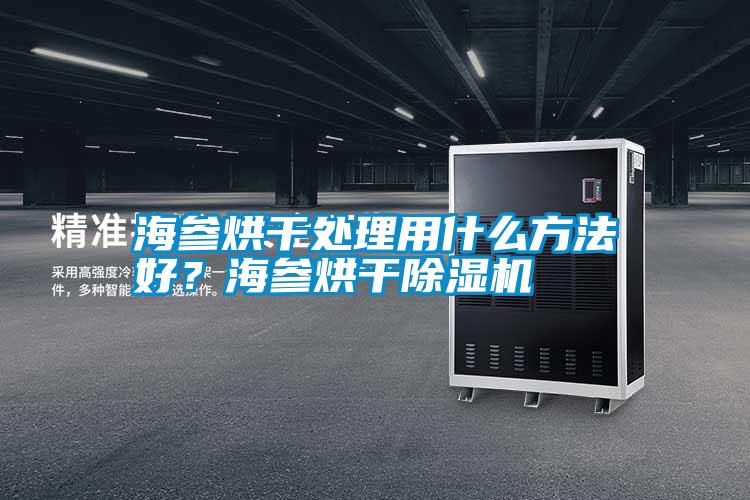 海參烘干處理用什么方法好?海參烘干除濕機(jī)