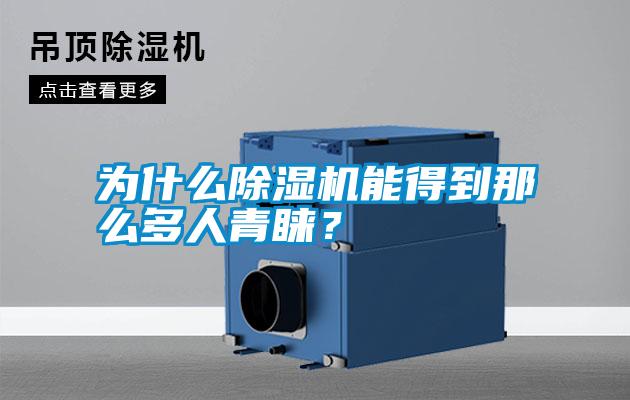 為什么除濕機能得到那么多人青睞？