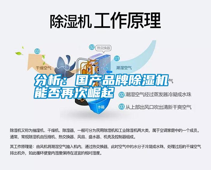 分析：國產(chǎn)品牌除濕機 能否再次崛起