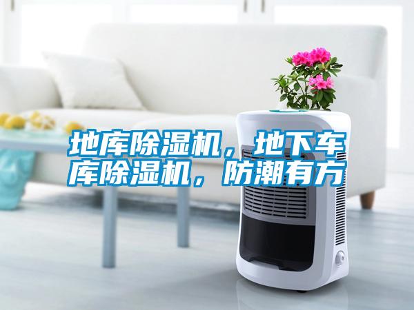 地庫(kù)除濕機(jī)，地下車庫(kù)除濕機(jī)，防潮有方