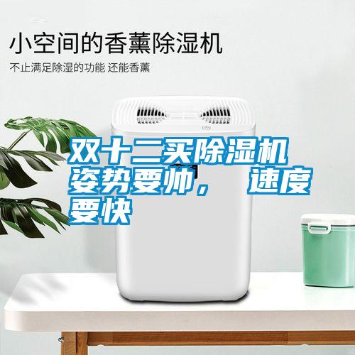 雙十二買除濕機姿勢要帥， 速度要快