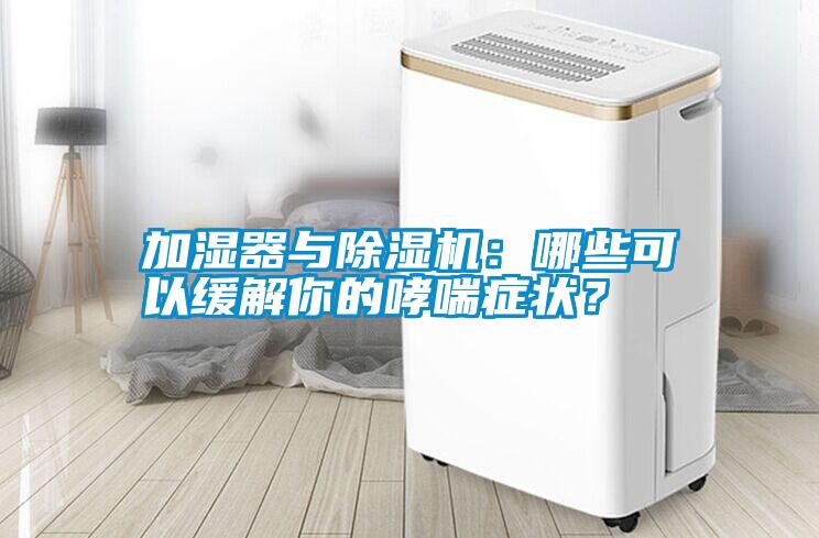 加濕器與除濕機：哪些可以緩解你的哮喘癥狀？