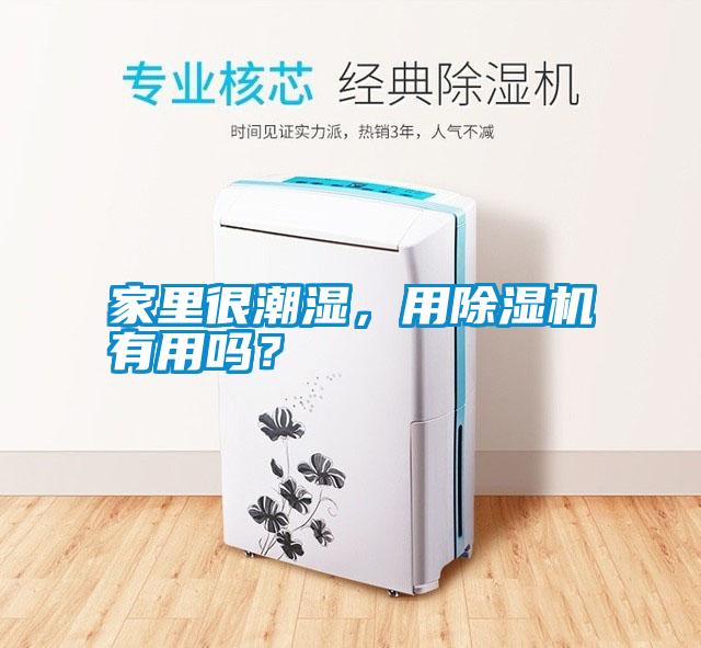 家里很潮濕，用除濕機有用嗎？
