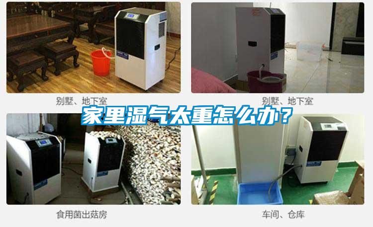 家里濕氣太重怎么辦？