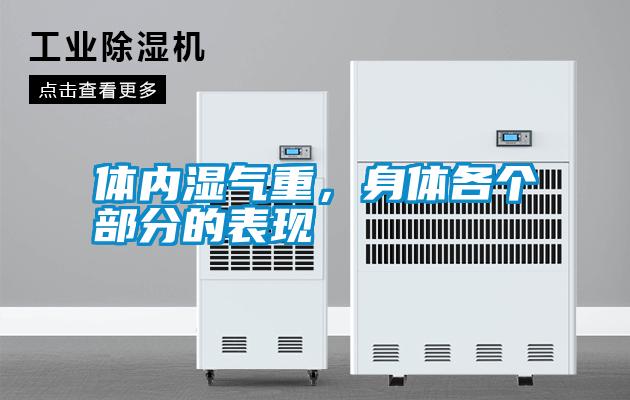 體內(nèi)濕氣重，身體各個部分的表現(xiàn)