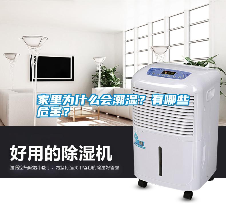 家里為什么會潮濕？有哪些危害？