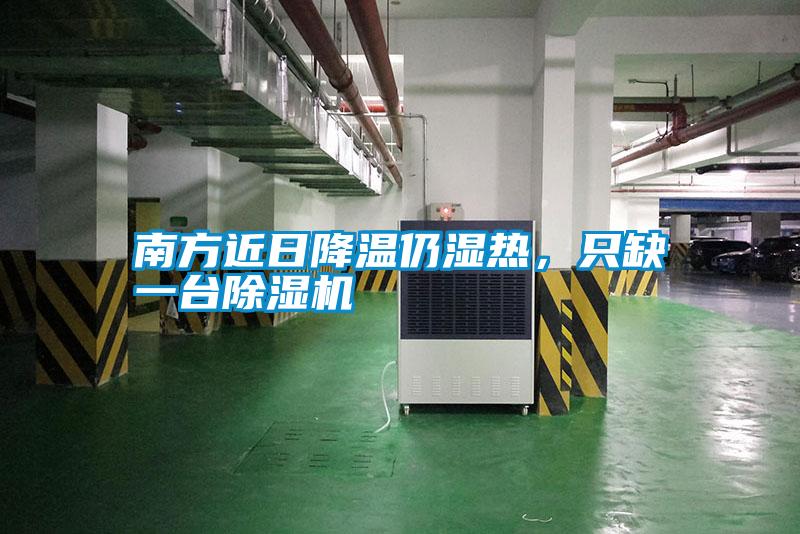 南方近日降溫仍濕熱，只缺一臺除濕機