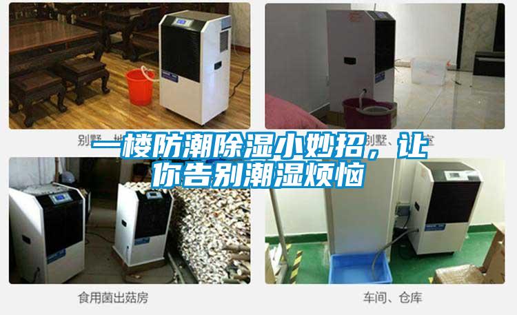 一樓防潮除濕小妙招，讓你告別潮濕煩惱
