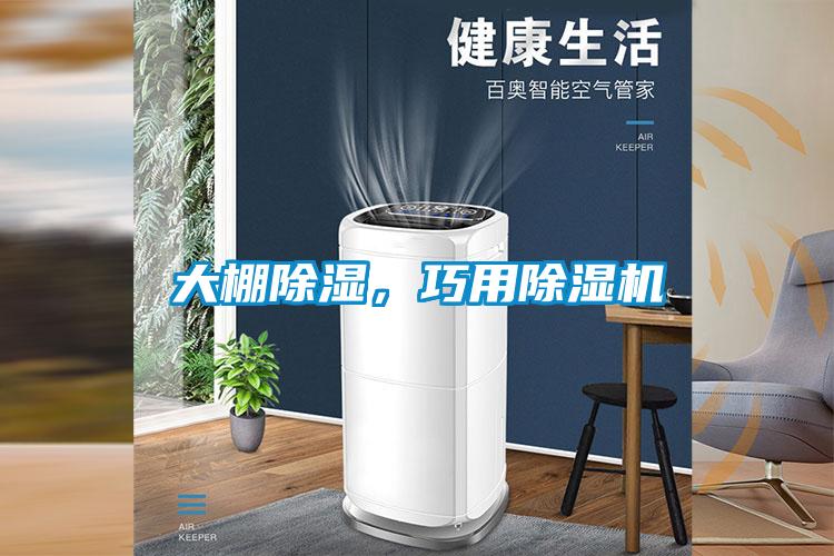 大棚除濕，巧用除濕機(jī)