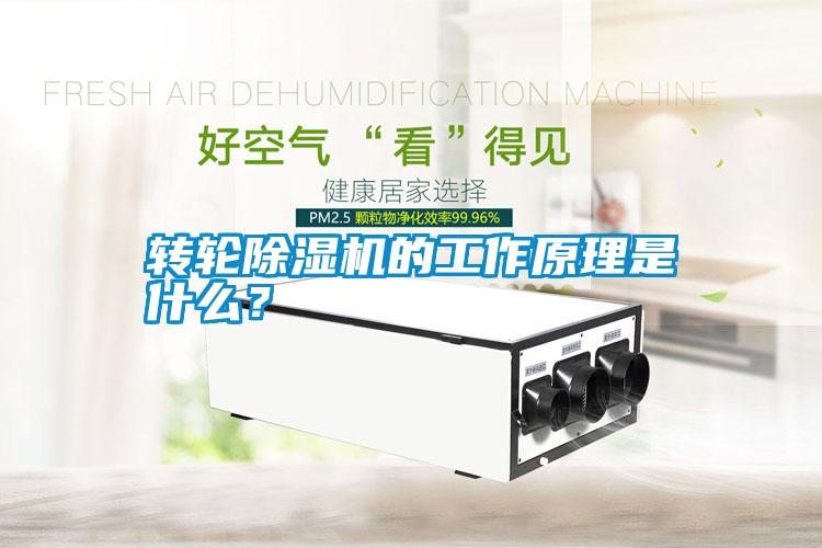 轉輪除濕機的工作原理是什么？