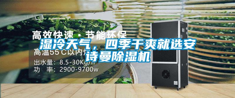 濕冷天氣，四季干爽就選安詩曼除濕機