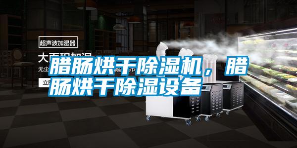 臘腸烘干除濕機，臘腸烘干除濕設備