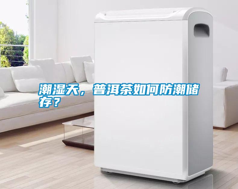 潮濕天，普洱茶如何防潮儲存？