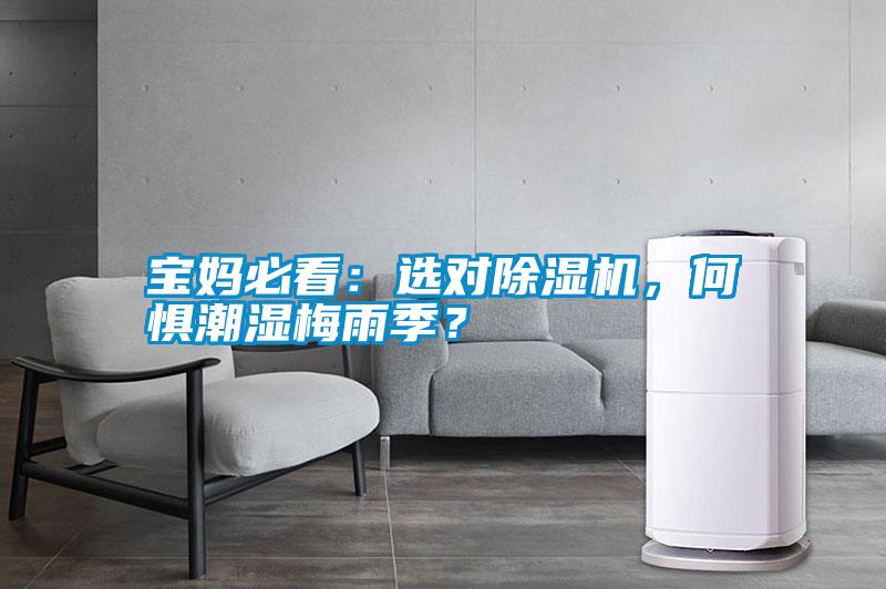 寶媽必看：選對除濕機(jī)，何懼潮濕梅雨季？