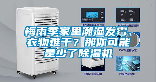 梅雨季家里潮濕發(fā)霉、衣物難干？那你可能是少了除濕機