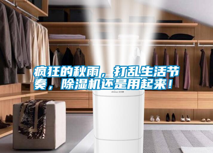 瘋狂的秋雨，打亂生活節(jié)奏，除濕機(jī)還是用起來！