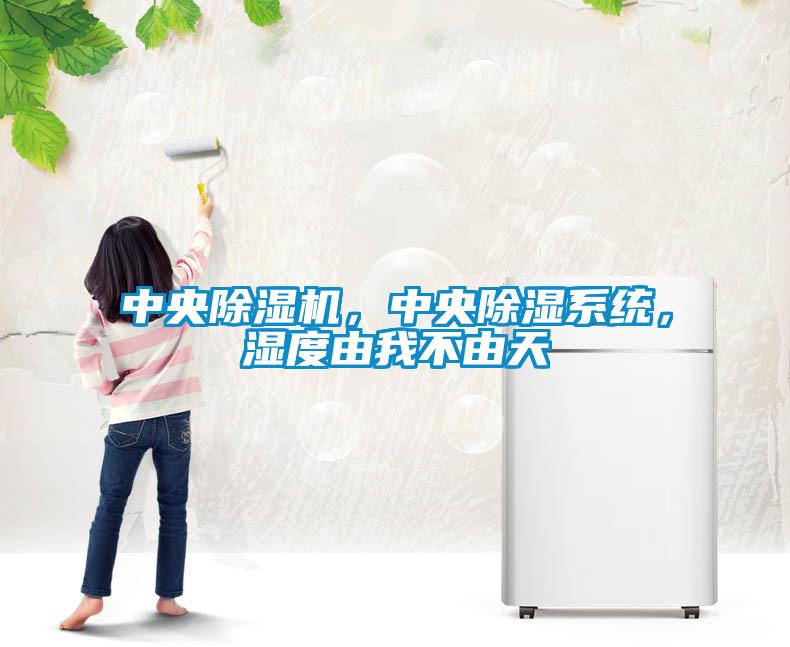 中央除濕機，中央除濕系統，濕度由我不由天