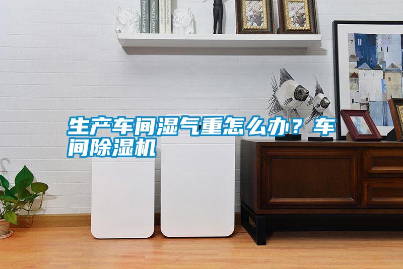 生產(chǎn)車(chē)間濕氣重怎么辦？車(chē)間除濕機(jī)