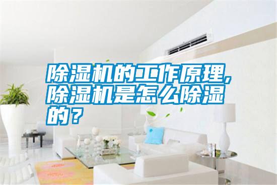 除濕機的工作原理,除濕機是怎么除濕的？