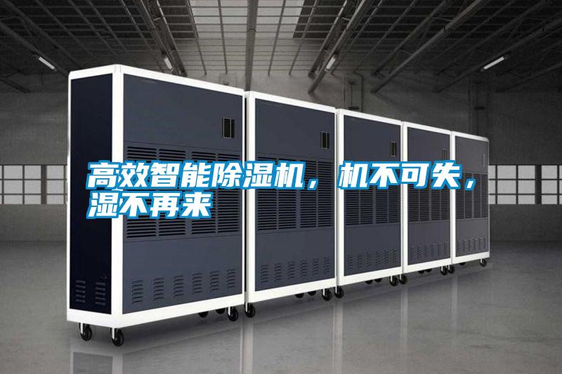 高效智能除濕機，機不可失，濕不再來