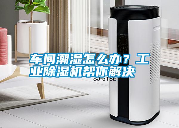 車間潮濕怎么辦？工業(yè)除濕機幫你解決