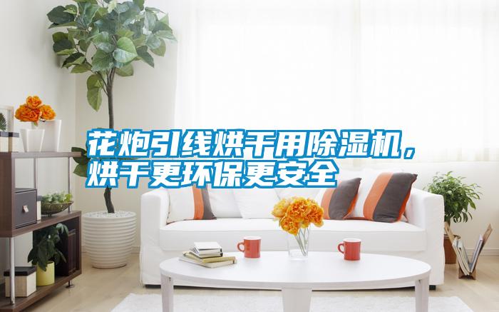 花炮引線烘干用除濕機，烘干更環保更安全