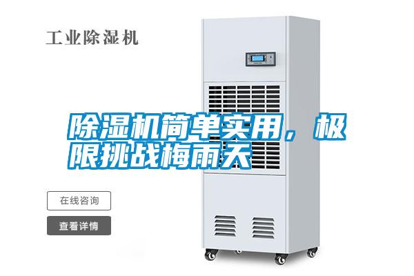 除濕機簡單實用，極限挑戰梅雨天