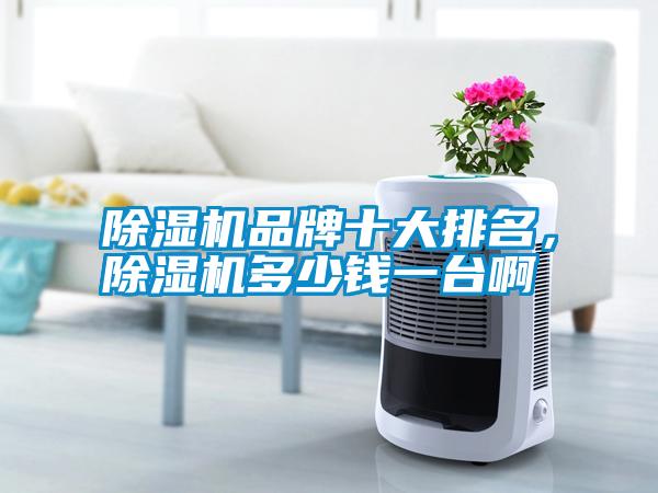 除濕機(jī)品牌十大排名，除濕機(jī)多少錢一臺(tái)啊