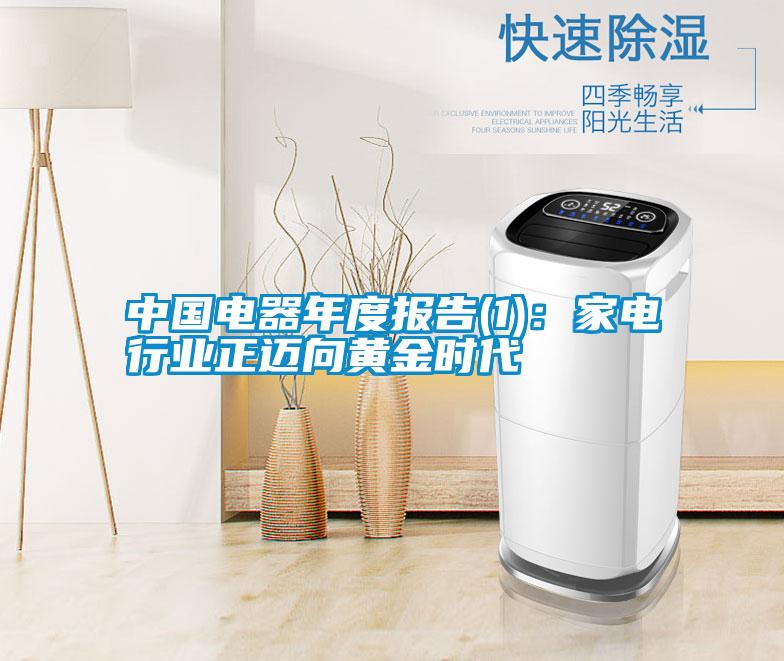 中國電器年度報(bào)告(1)：家電行業(yè)正邁向黃金時(shí)代