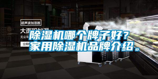 除濕機哪個牌子好？家用除濕機品牌介紹。
