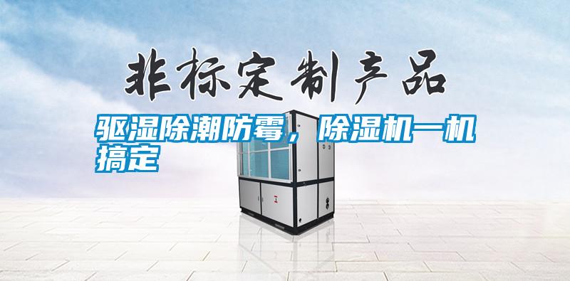 驅(qū)濕除潮防霉，除濕機一機搞定