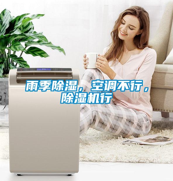 雨季除濕，空調不行，除濕機行